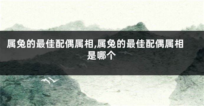 属兔的最佳配偶属相,属兔的最佳配偶属相是哪个