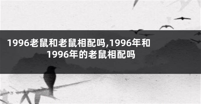 1996老鼠和老鼠相配吗,1996年和1996年的老鼠相配吗