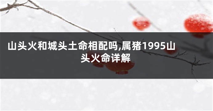 山头火和城头土命相配吗,属猪1995山头火命详解