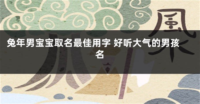 兔年男宝宝取名最佳用字 好听大气的男孩名