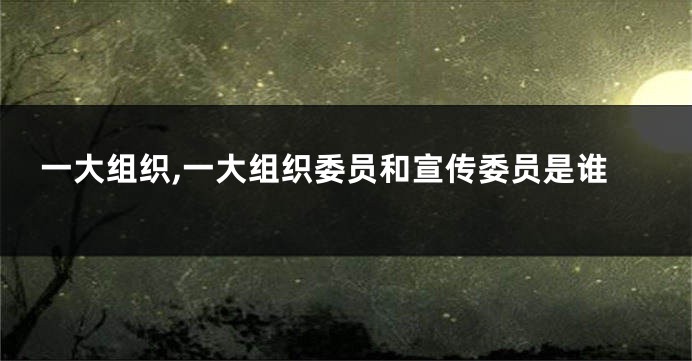 一大组织,一大组织委员和宣传委员是谁