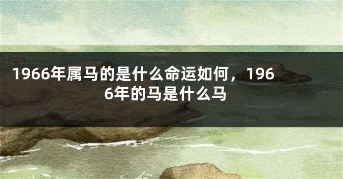 1966年属马的是什么命运如何,1966年的马是什么马
