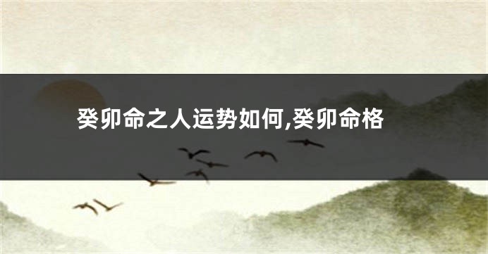 癸卯命之人运势如何,癸卯命格