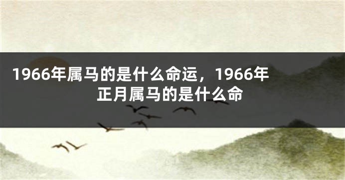 1966年属马的是什么命运,1966年正月属马的是什么命