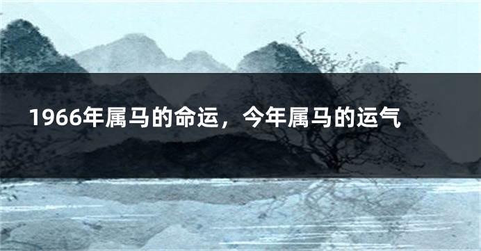 1966年属马的命运,今年属马的运气