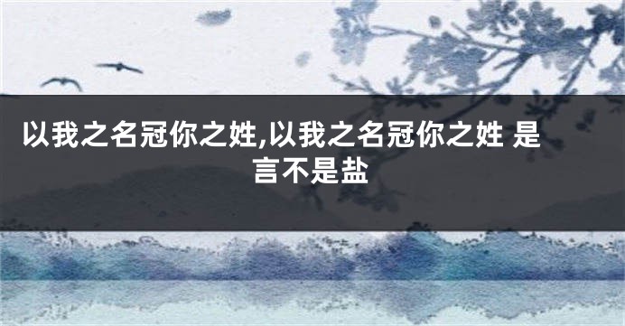 以我之名冠你之姓,以我之名冠你之姓 是言不是盐