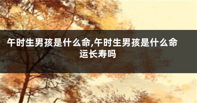 午时生男孩是什么命,午时生男孩是什么命运长寿吗