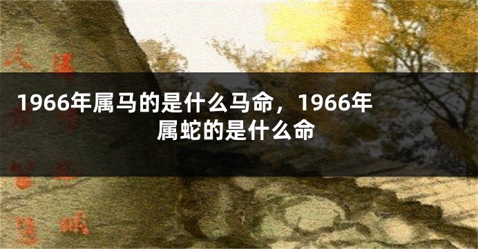 1966年属马的是什么马命,1966年属蛇的是什么命