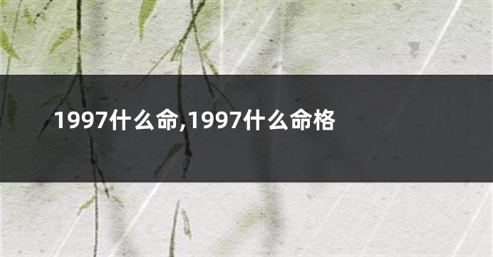 1997什么命,1997什么命格