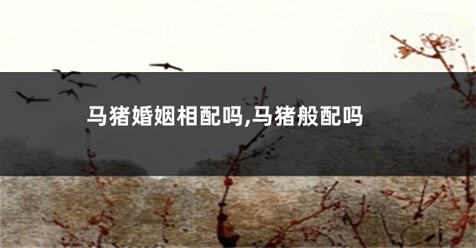 马猪婚姻相配吗,马猪般配吗