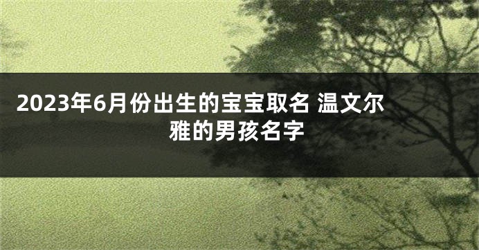 2023年6月份出生的宝宝取名 温文尔雅的男孩名字
