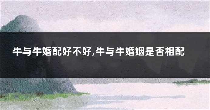 牛与牛婚配好不好,牛与牛婚姻是否相配