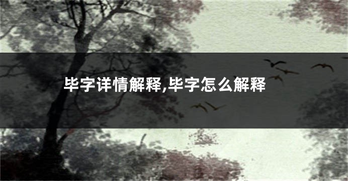 毕字详情解释,毕字怎么解释