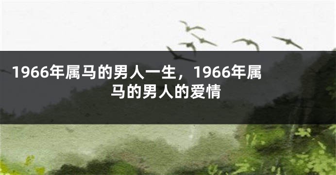 1966年属马的男人一生,1966年属马的男人的爱情
