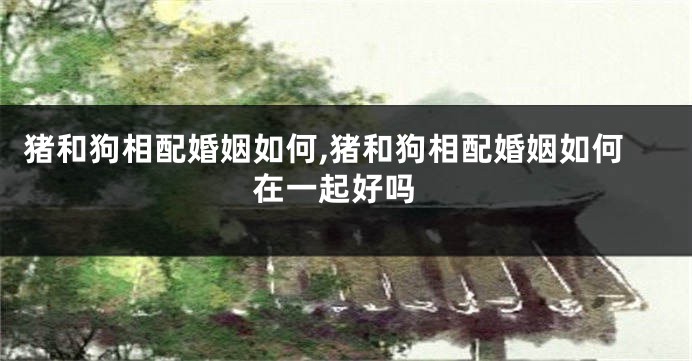 猪和狗相配婚姻如何,猪和狗相配婚姻如何 在一起好吗