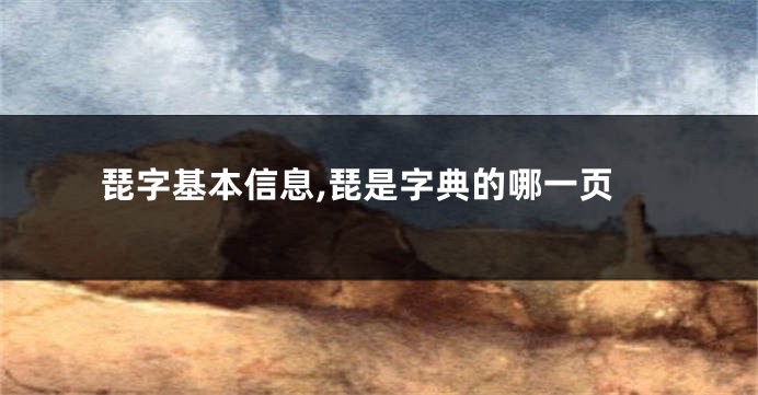 琵字基本信息,琵是字典的哪一页