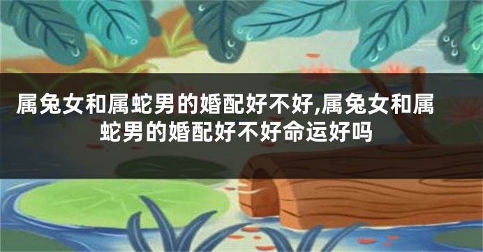 属兔女和属蛇男的婚配好不好,属兔女和属蛇男的婚配好不好命运好吗