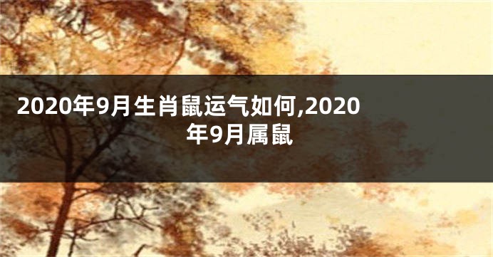 2020年9月生肖鼠运气如何,2020年9月属鼠