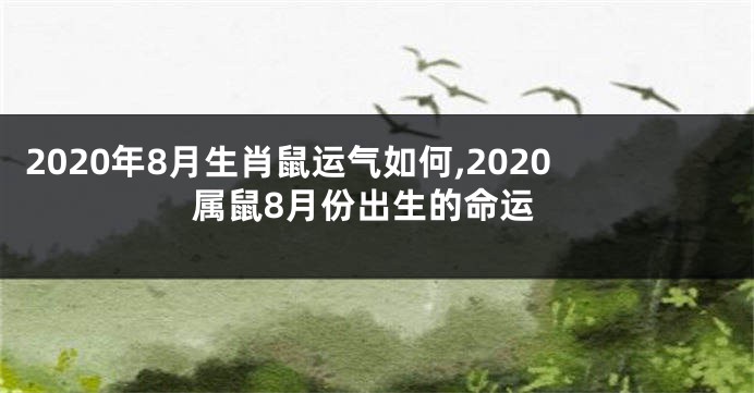 2020年8月生肖鼠运气如何,2020属鼠8月份出生的命运
