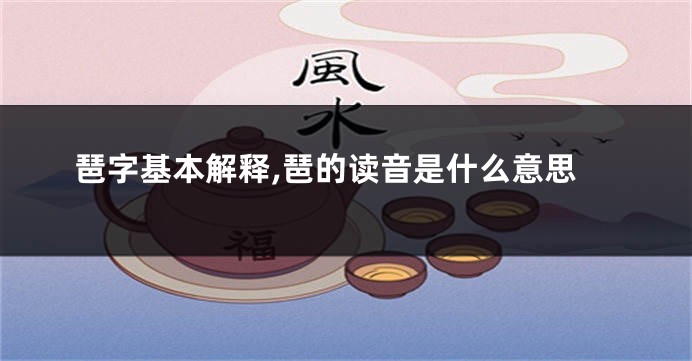 琶字基本解释,琶的读音是什么意思