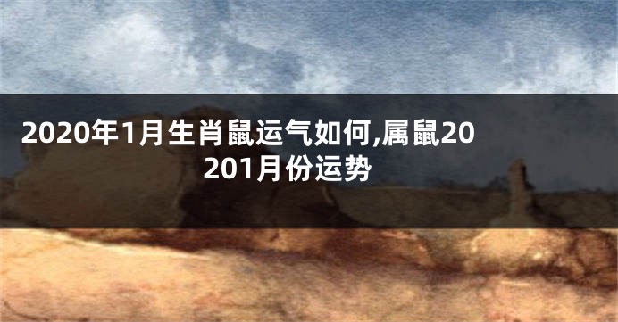 2020年1月生肖鼠运气如何,属鼠20201月份运势