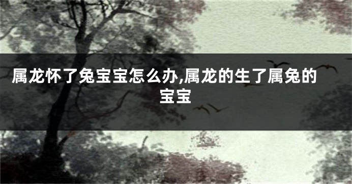 属龙怀了兔宝宝怎么办,属龙的生了属兔的宝宝