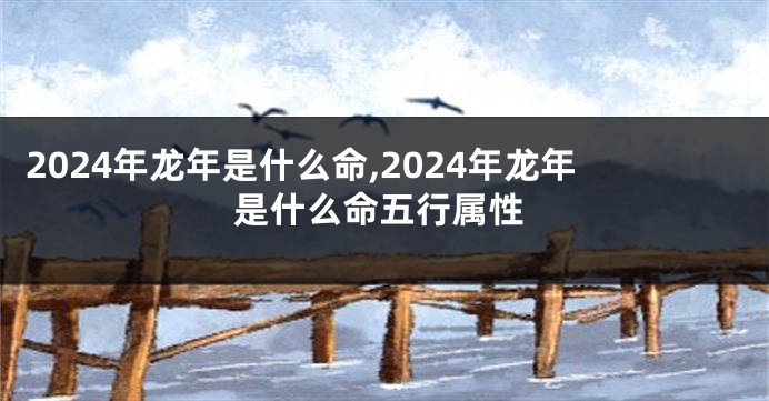 2024年龙年是什么命,2024年龙年是什么命五行属性