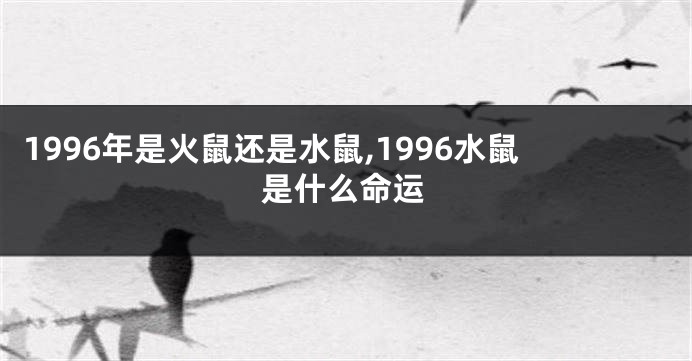 1996年是火鼠还是水鼠,1996水鼠是什么命运