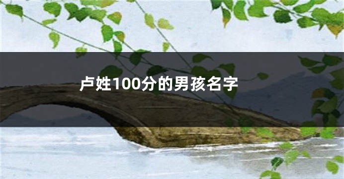 卢姓100分的男孩名字