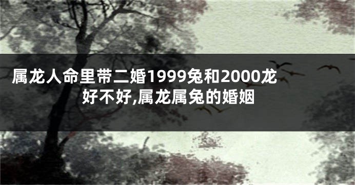 属龙人命里带二婚1999兔和2000龙好不好,属龙属兔的婚姻