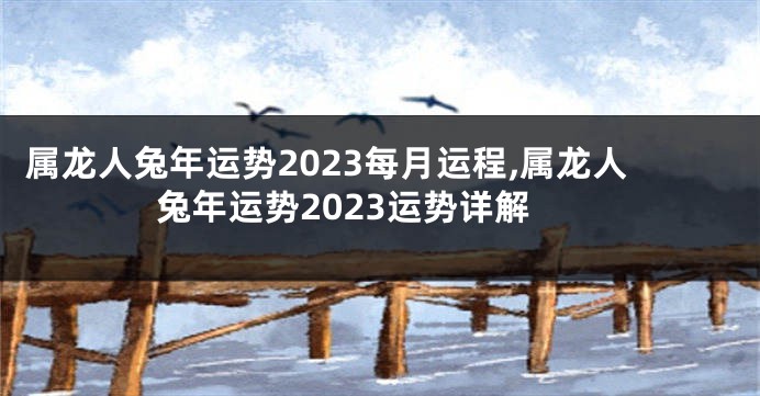 属龙人兔年运势2023每月运程,属龙人兔年运势2023运势详解