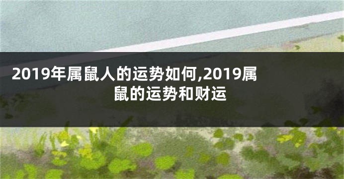 2019年属鼠人的运势如何,2019属鼠的运势和财运