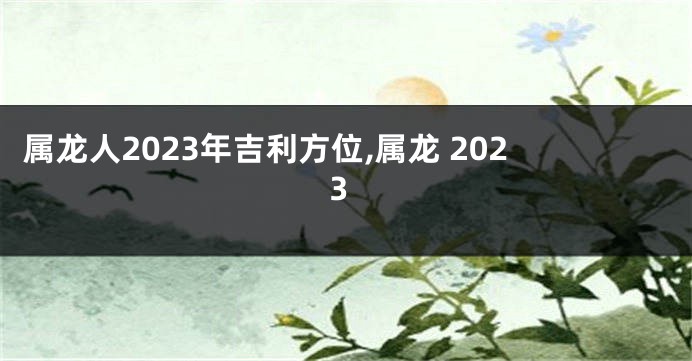 属龙人2023年吉利方位,属龙 2023