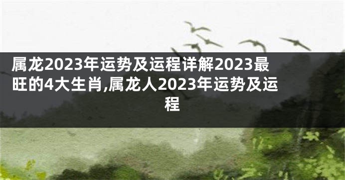属龙2023年运势及运程详解2023最旺的4大生肖,属龙人2023年运势及运程