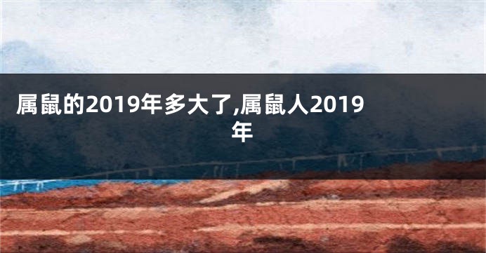 属鼠的2019年多大了,属鼠人2019年