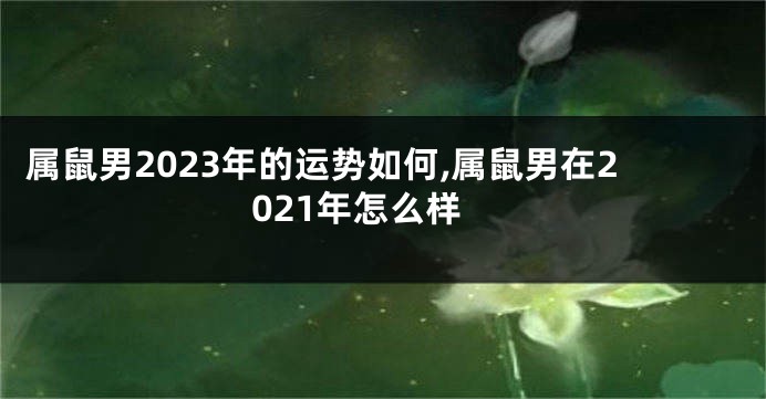属鼠男2023年的运势如何,属鼠男在2021年怎么样