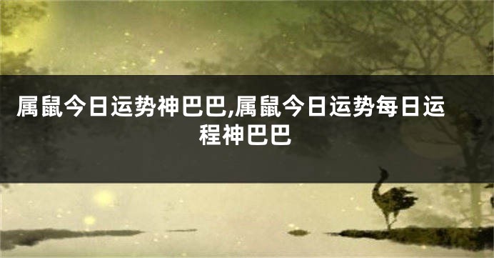 属鼠今日运势神巴巴,属鼠今日运势每日运程神巴巴