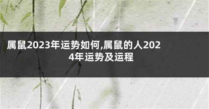 属鼠2023年运势如何,属鼠的人2024年运势及运程