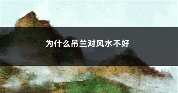 为什么吊兰对风水不好