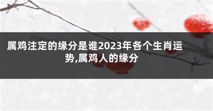 属鸡注定的缘分是谁2023年各个生肖运势,属鸡人的缘分