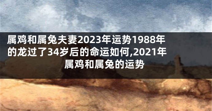 属鸡和属兔夫妻2023年运势1988年的龙过了34岁后的命运如何,2021年属鸡和属兔的运势