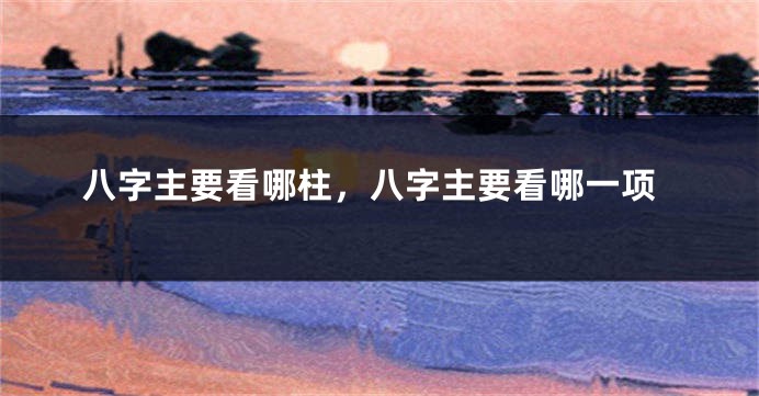 八字主要看哪柱,八字主要看哪一项