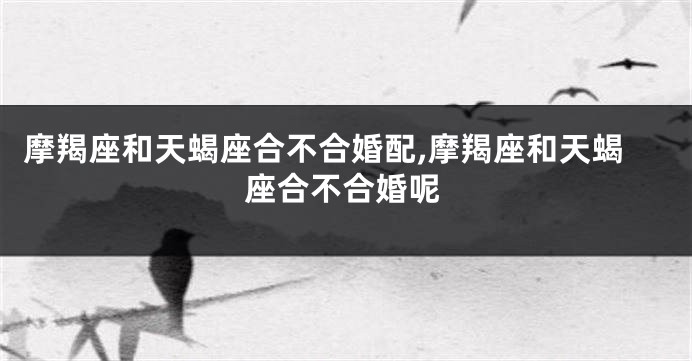 摩羯座和天蝎座合不合婚配,摩羯座和天蝎座合不合婚呢