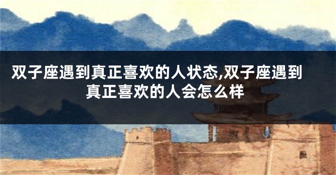 双子座遇到真正喜欢的人状态,双子座遇到真正喜欢的人会怎么样