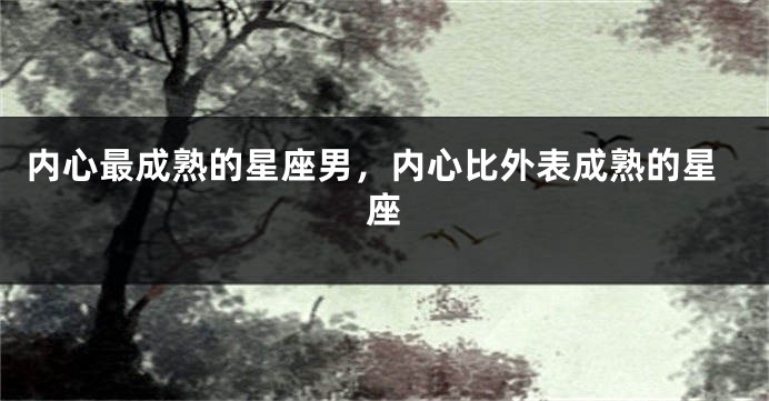 内心最成熟的星座男,内心比外表成熟的星座