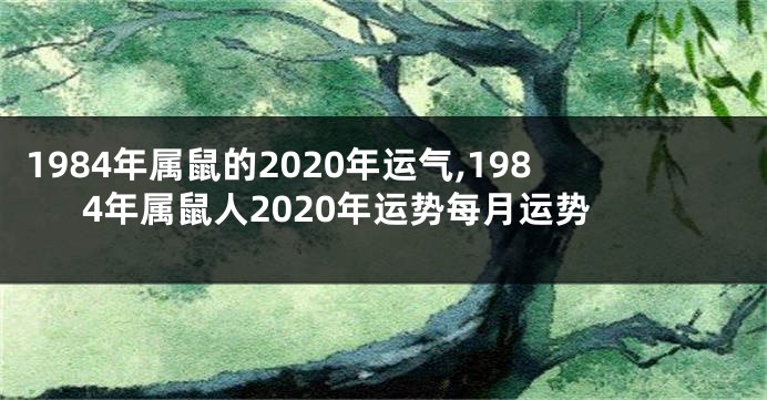 1984年属鼠的2020年运气,1984年属鼠人2020年运势每月运势
