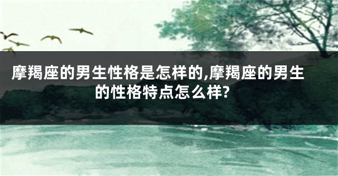 摩羯座的男生性格是怎样的,摩羯座的男生的性格特点怎么样?