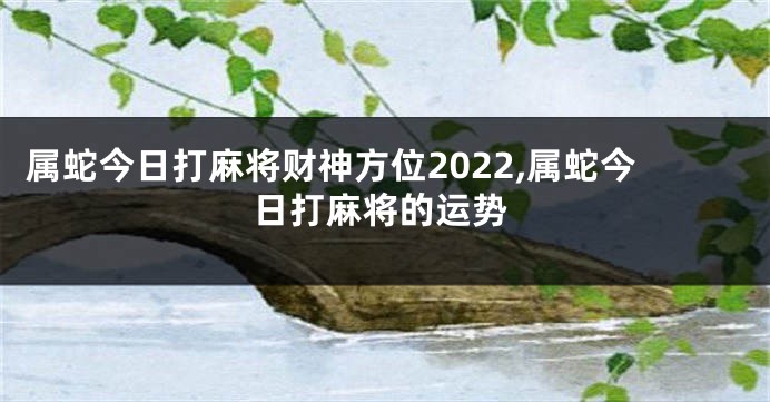 属蛇今日打麻将财神方位2022,属蛇今日打麻将的运势