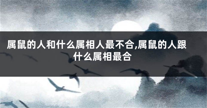 属鼠的人和什么属相人最不合,属鼠的人跟什么属相最合