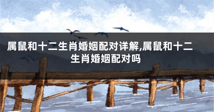 属鼠和十二生肖婚姻配对详解,属鼠和十二生肖婚姻配对吗